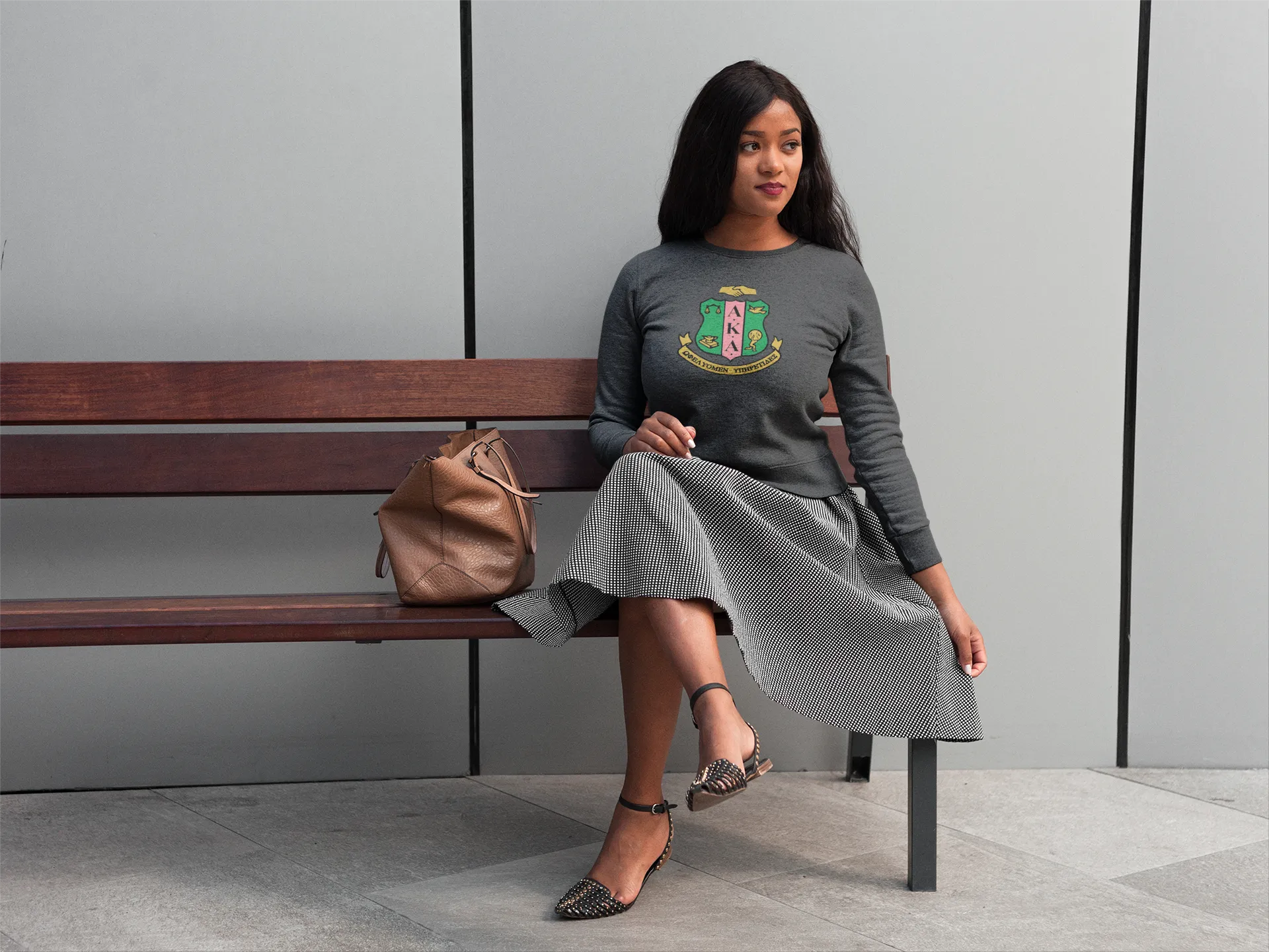 Alpha Kappa Alpha (AKA) Shield SweatShirt