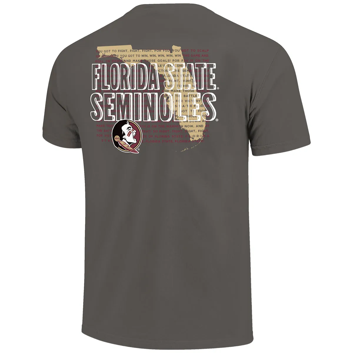 Image One Comfort Colors Florida State Seminoles Fight Song State Design Short Sleeve T-shirt - Grey